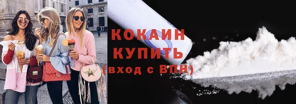 скорость Каменка