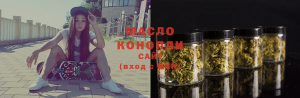 скорость Каменка