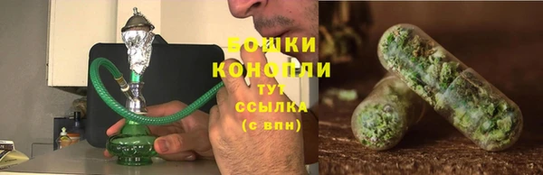 гидропоника Каменногорск