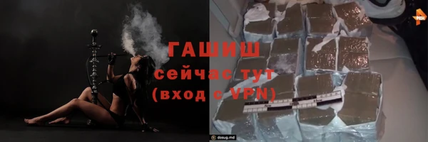 скорость Каменка