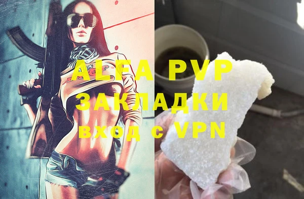 скорость Каменка