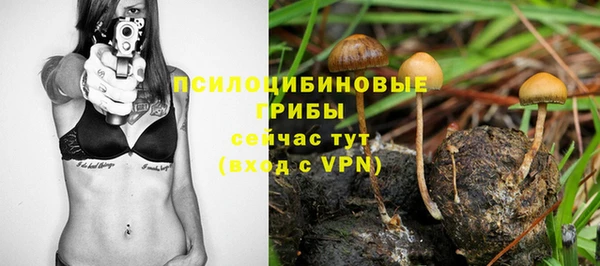гашик Касимов