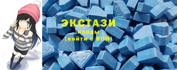 скорость Каменка