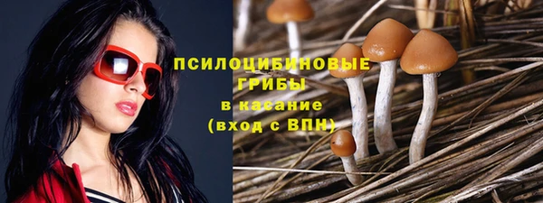 скорость Каменка