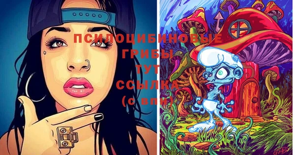 прущая мука Карпинск