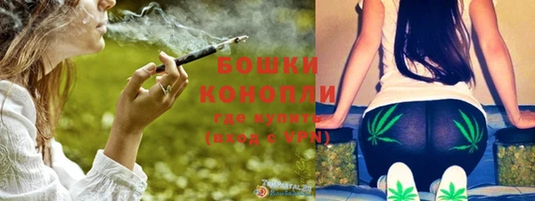 скорость Каменка