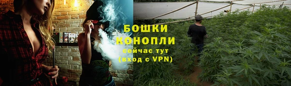 гидропоника Каменногорск