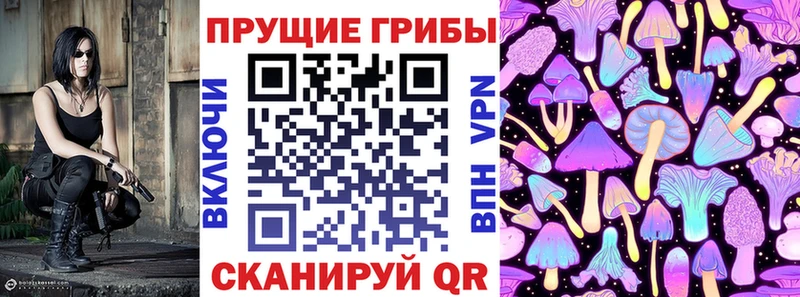 Псилоцибиновые грибы MAGIC MUSHROOMS  Купить где  Губаха 
